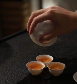 Gongfu style brewing tea