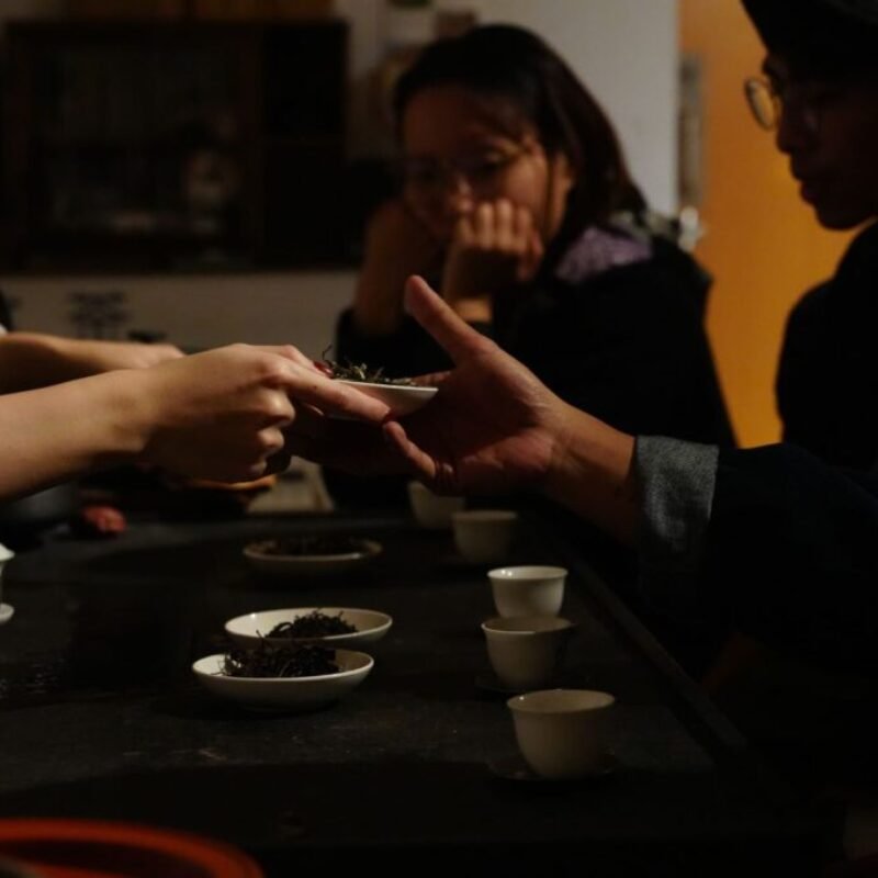 Scientific Tea Appreciation & Analysis【Intermediate】